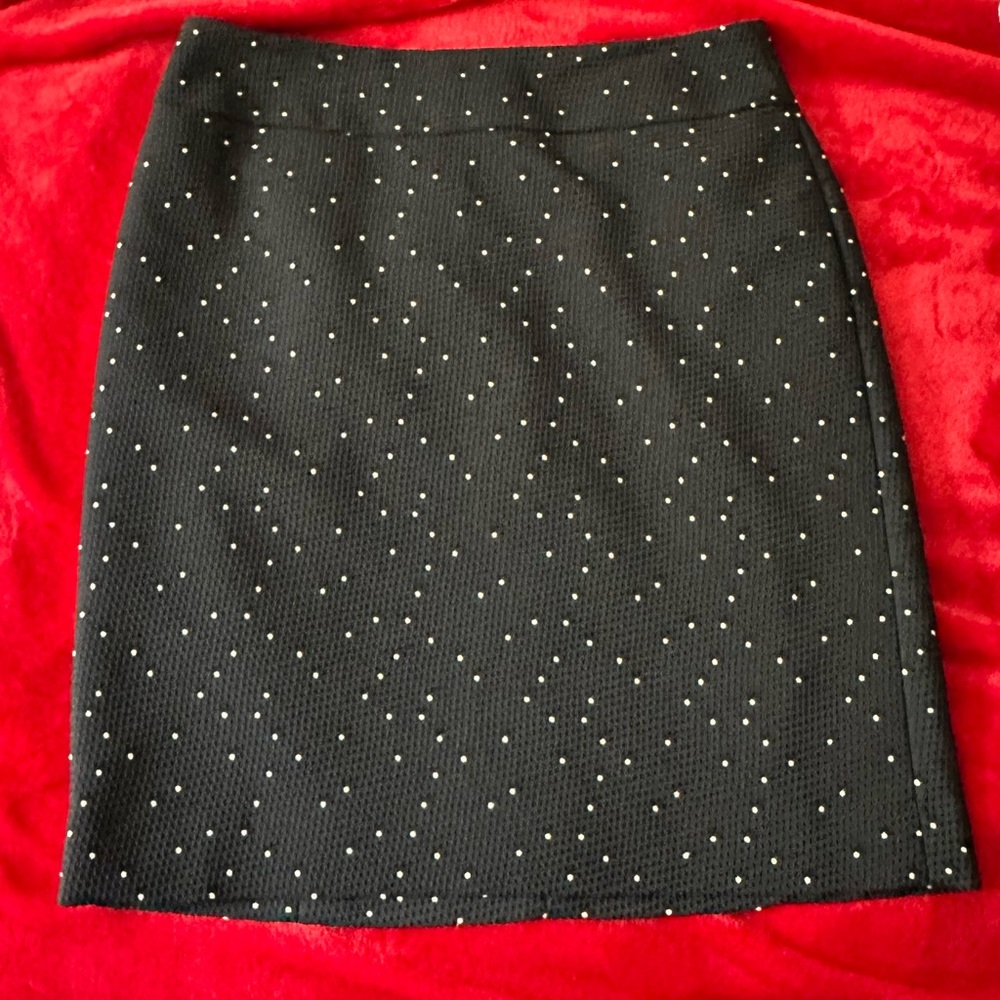 Ann Taylor Navy Blue and White Polka Dot Pencil Skirt with Zipper
